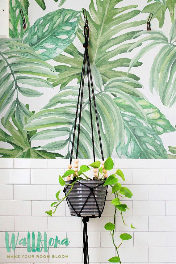 papier peint feuilles pour murs,plante,pot de fleur,feuille,monstera deliciosa,plante d'appartement