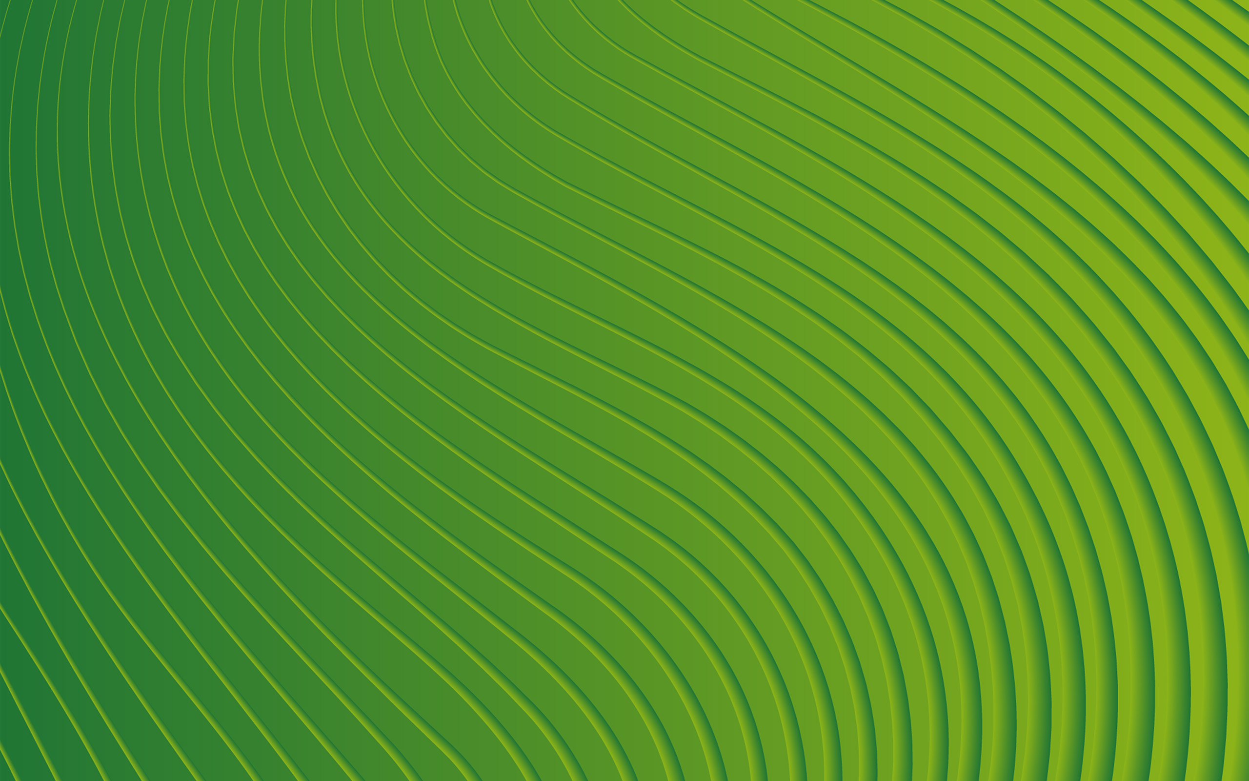papel tapiz de patrón verde,verde,hoja,línea,modelo,planta