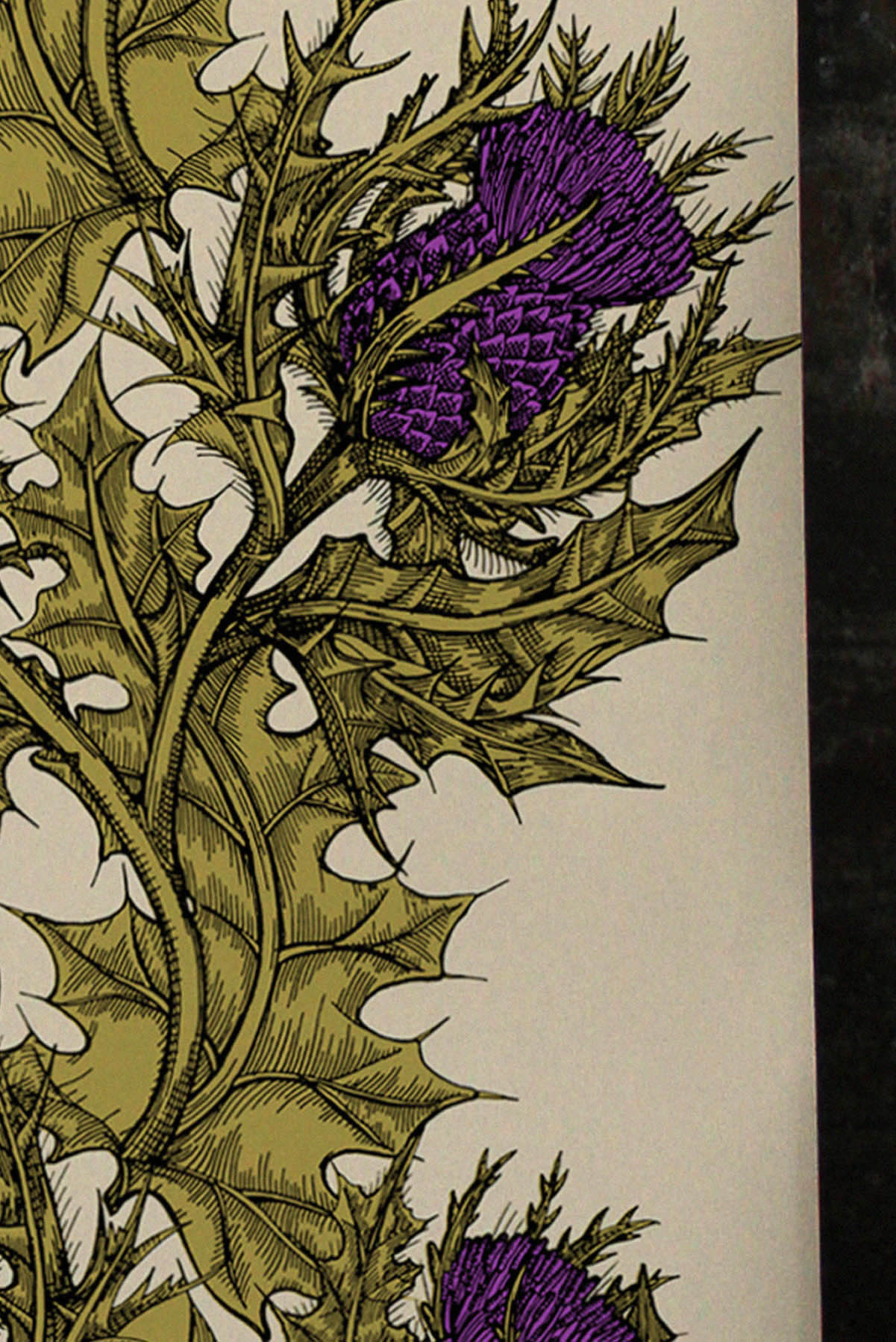 papel pintado impreso a mano,flor,planta,cardo,planta floreciendo,modelo