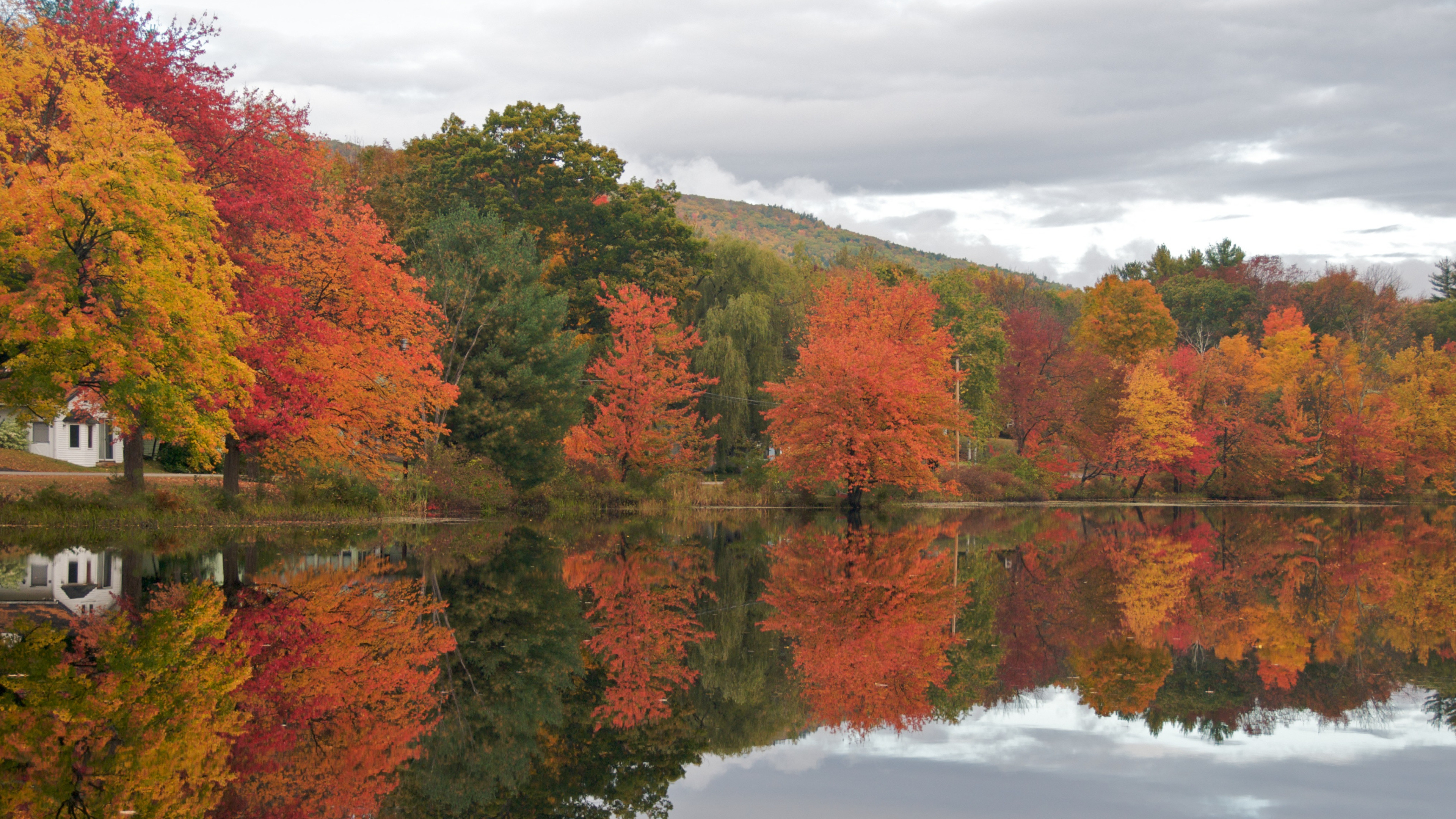 fondo de pantalla de nueva inglaterra,reflexión,naturaleza,hoja,árbol,paisaje natural