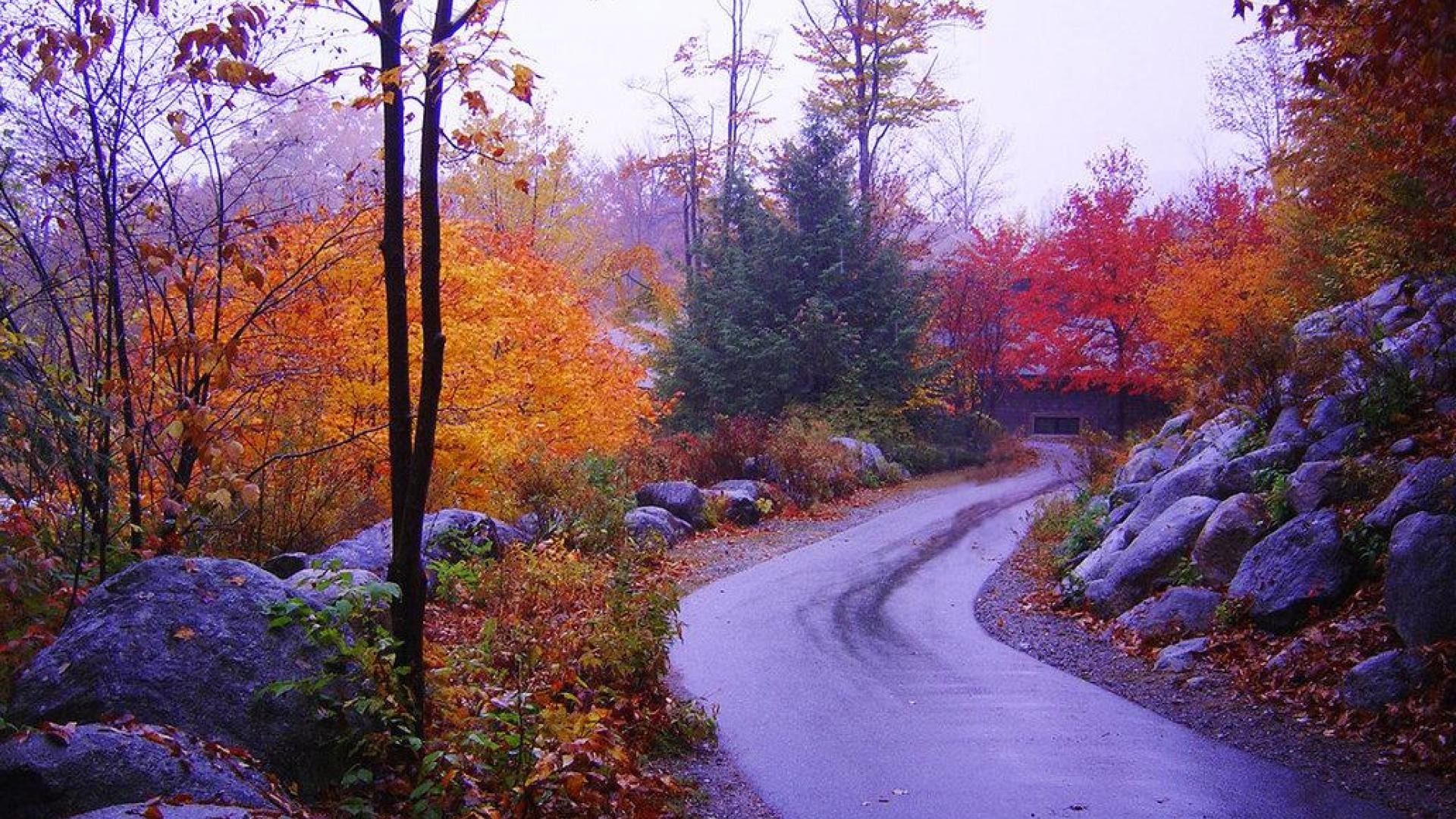 new england wallpaper,natürliche landschaft,natur,baum,himmel,blatt