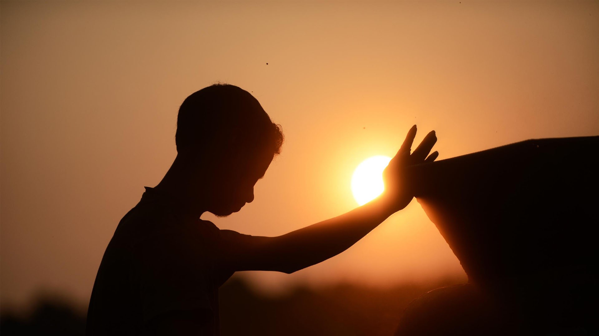 praying girl wallpaper,backlighting,sky,light,heat,silhouette