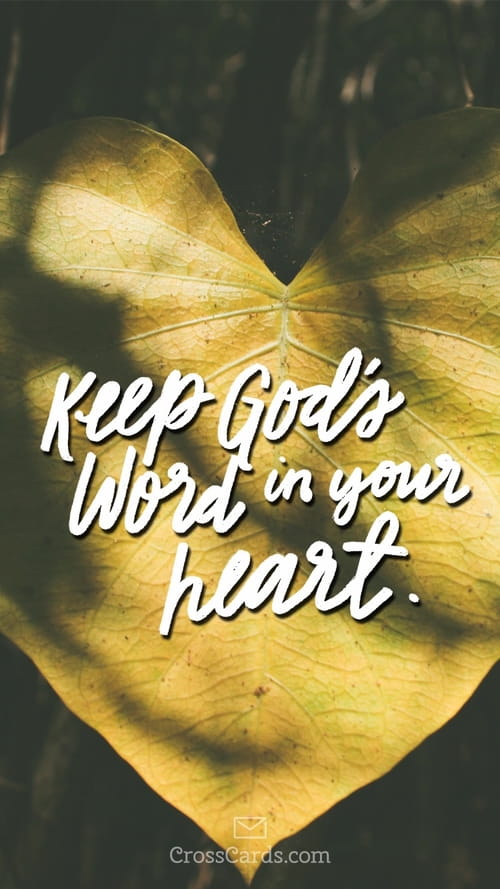 word of god wallpaper,text,love,yellow,font,heart