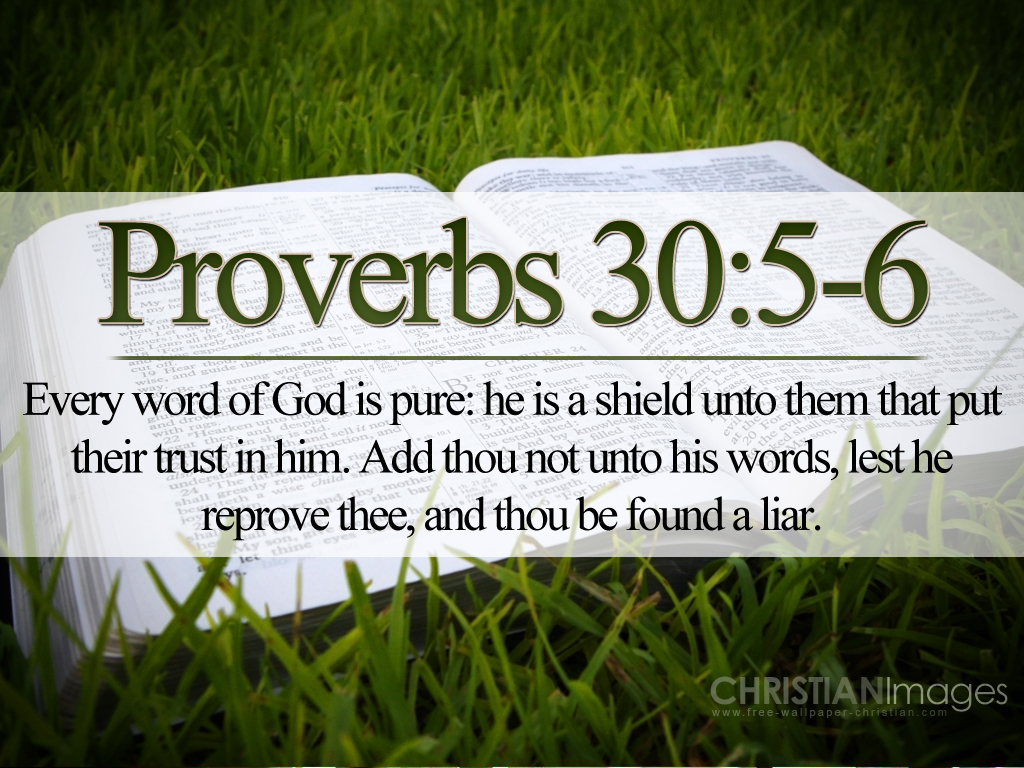 word of god wallpaper,text,font,green,grass,lawn