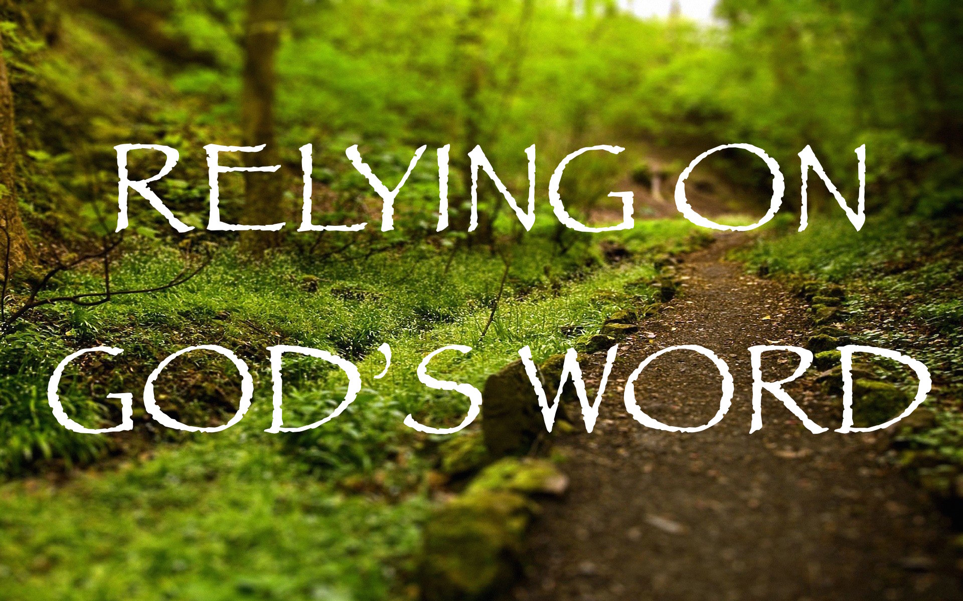 word of god wallpaper,natural landscape,nature,vegetation,font,natural environment