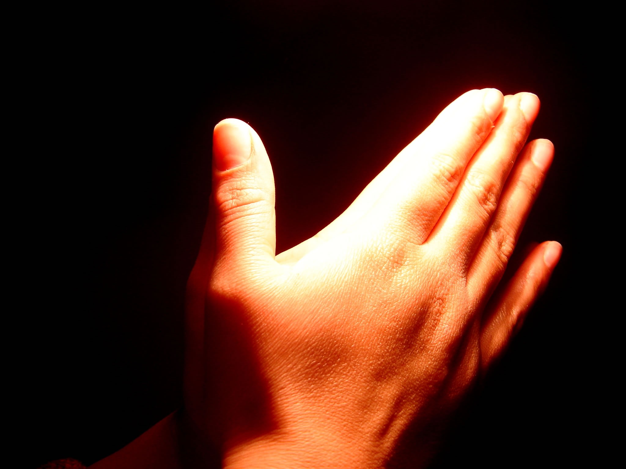 祈る手の壁紙,手,光,ジェスチャー,爪,手話