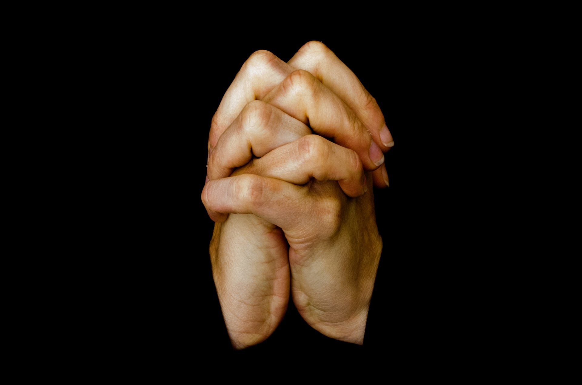 carta da parati mani in preghiera,mano,gesto,umano,linguaggio dei segni,avvicinamento
