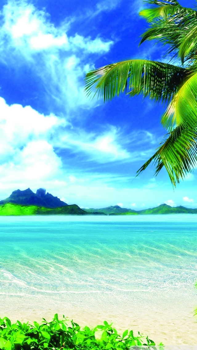 ビーチの電話の壁紙,自然の風景,空,自然,海洋,カリブ海