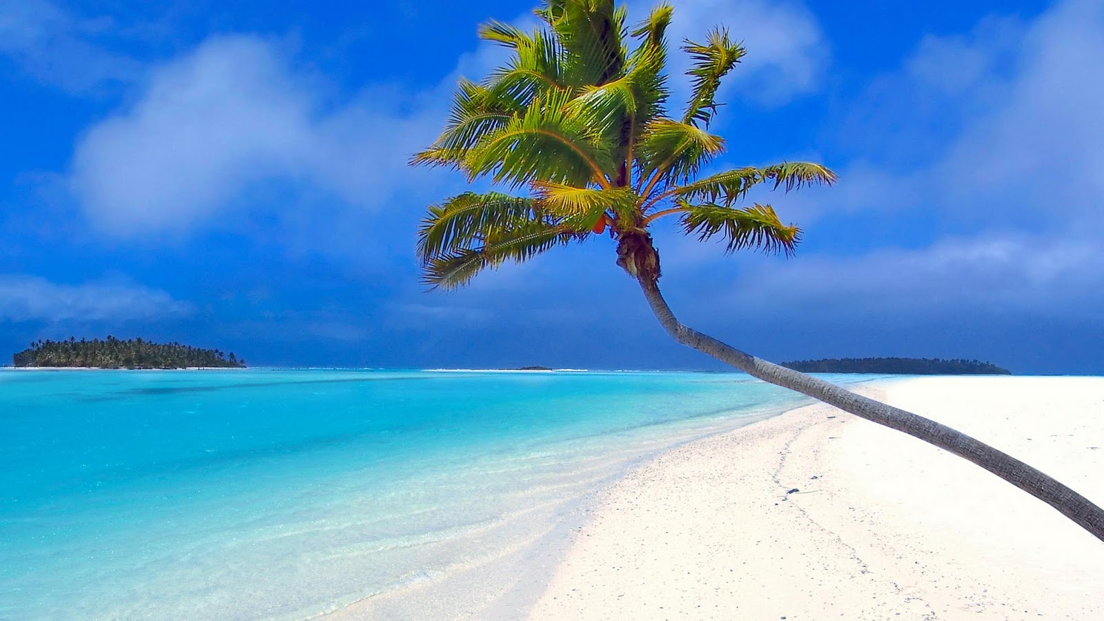 imágenes del océano para fondo de pantalla,cielo,naturaleza,árbol,paisaje natural,caribe