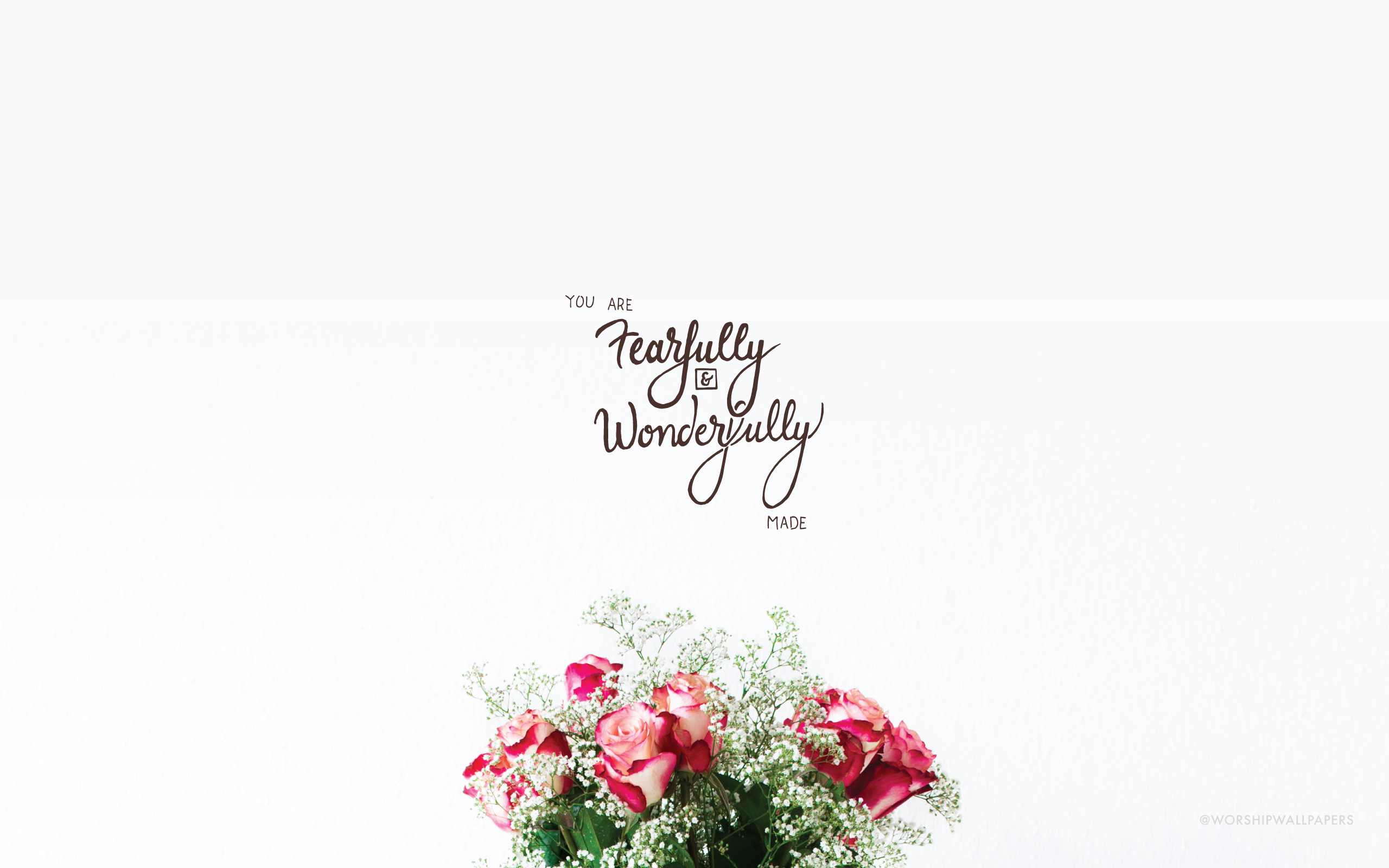 bibel vers laptop wallpaper,blume,text,rosa,schriftart,strauß