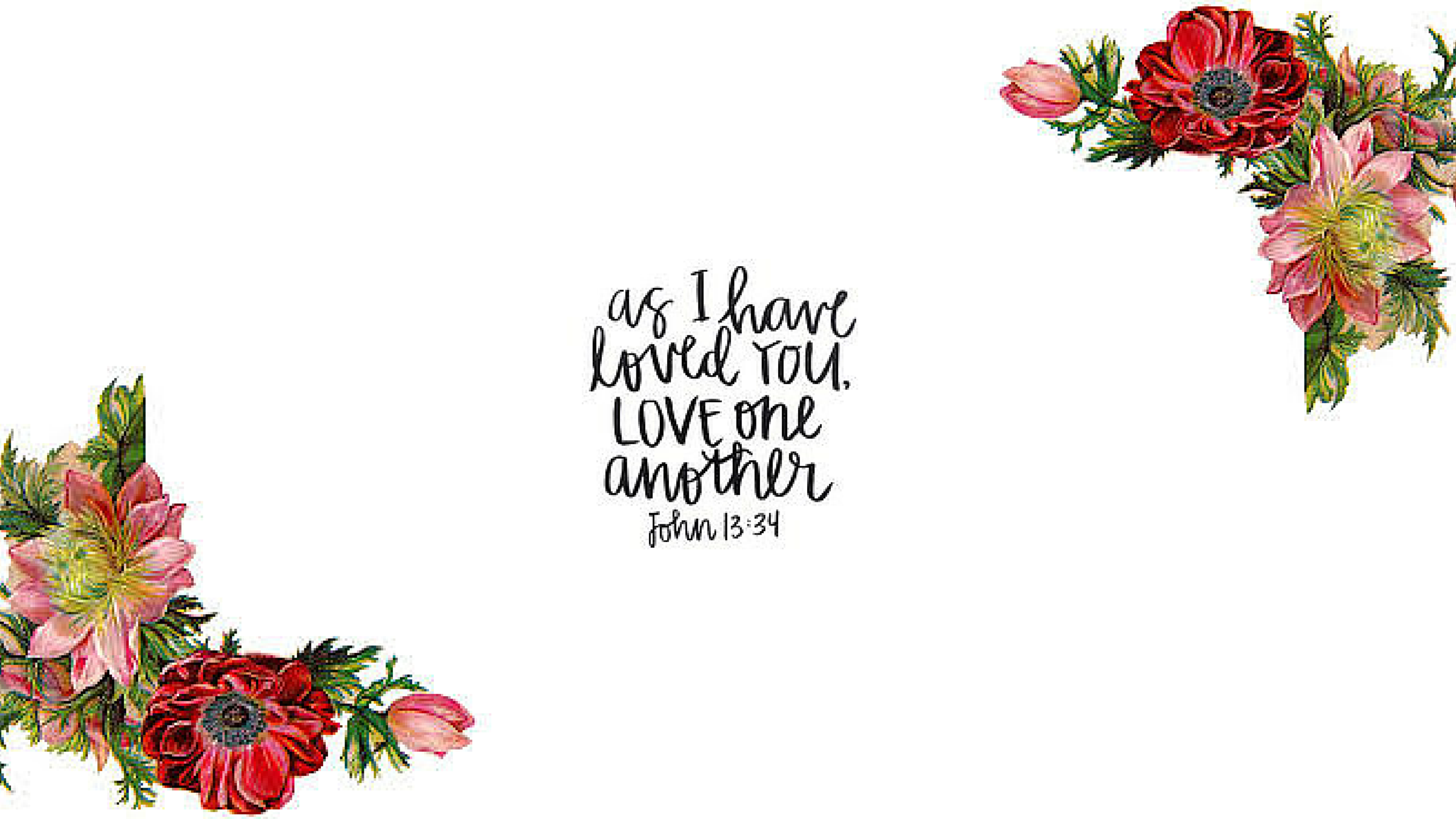 bibel vers laptop wallpaper,text,schnittblumen,blume,pflanze,schriftart