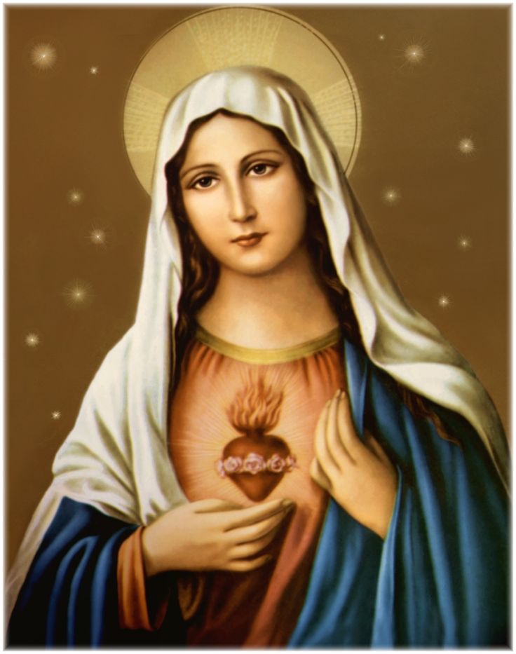 holy mary wallpapers,nativity scene,pray,blessing,poster,painting