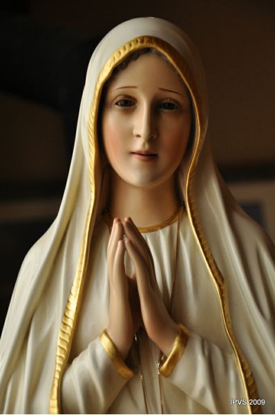 our lady of fatima wallpaper,fashion accessory,headpiece