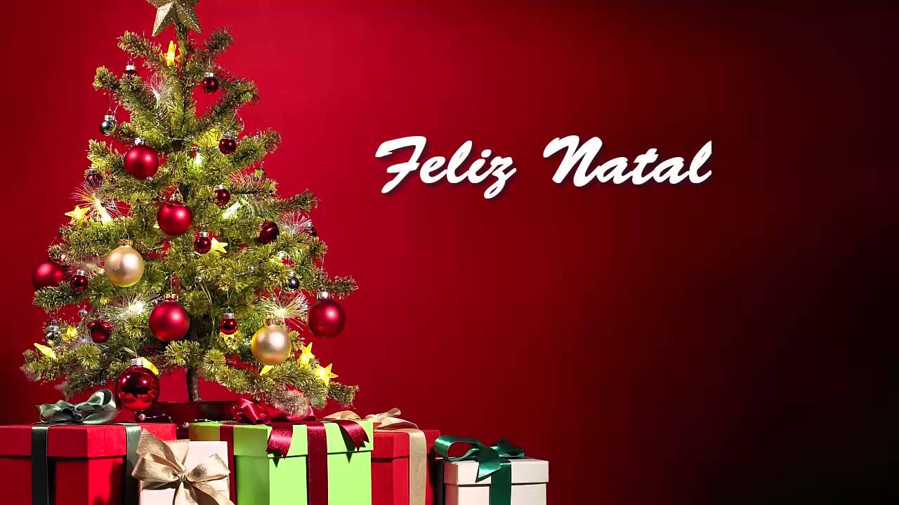 fondo de pantalla de natal,árbol de navidad,decoración navideña,navidad,decoración navideña,nochebuena