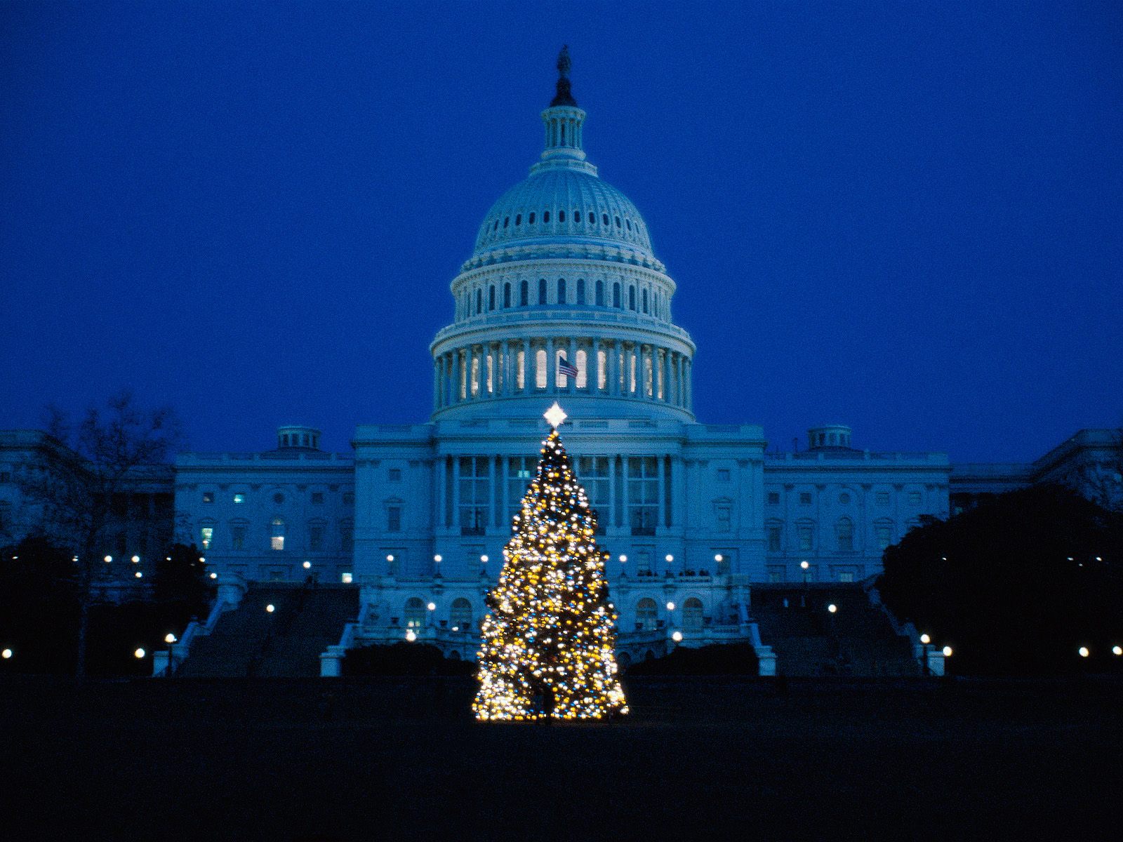 washington dc tapete,blau,himmel,nacht,die architektur,licht