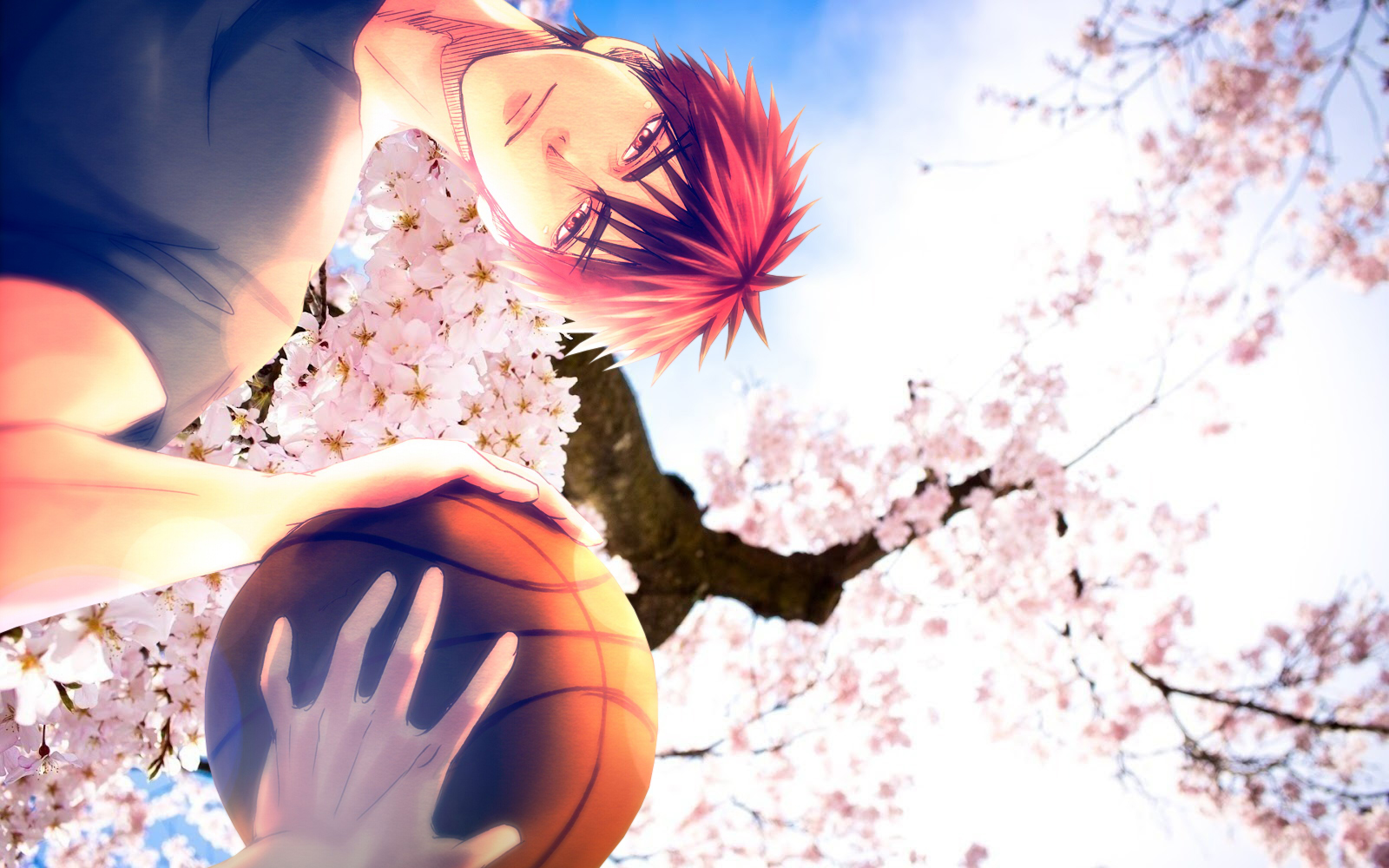 fond d'écran kagami taiga,ciel,printemps,amusement,basketball,plante