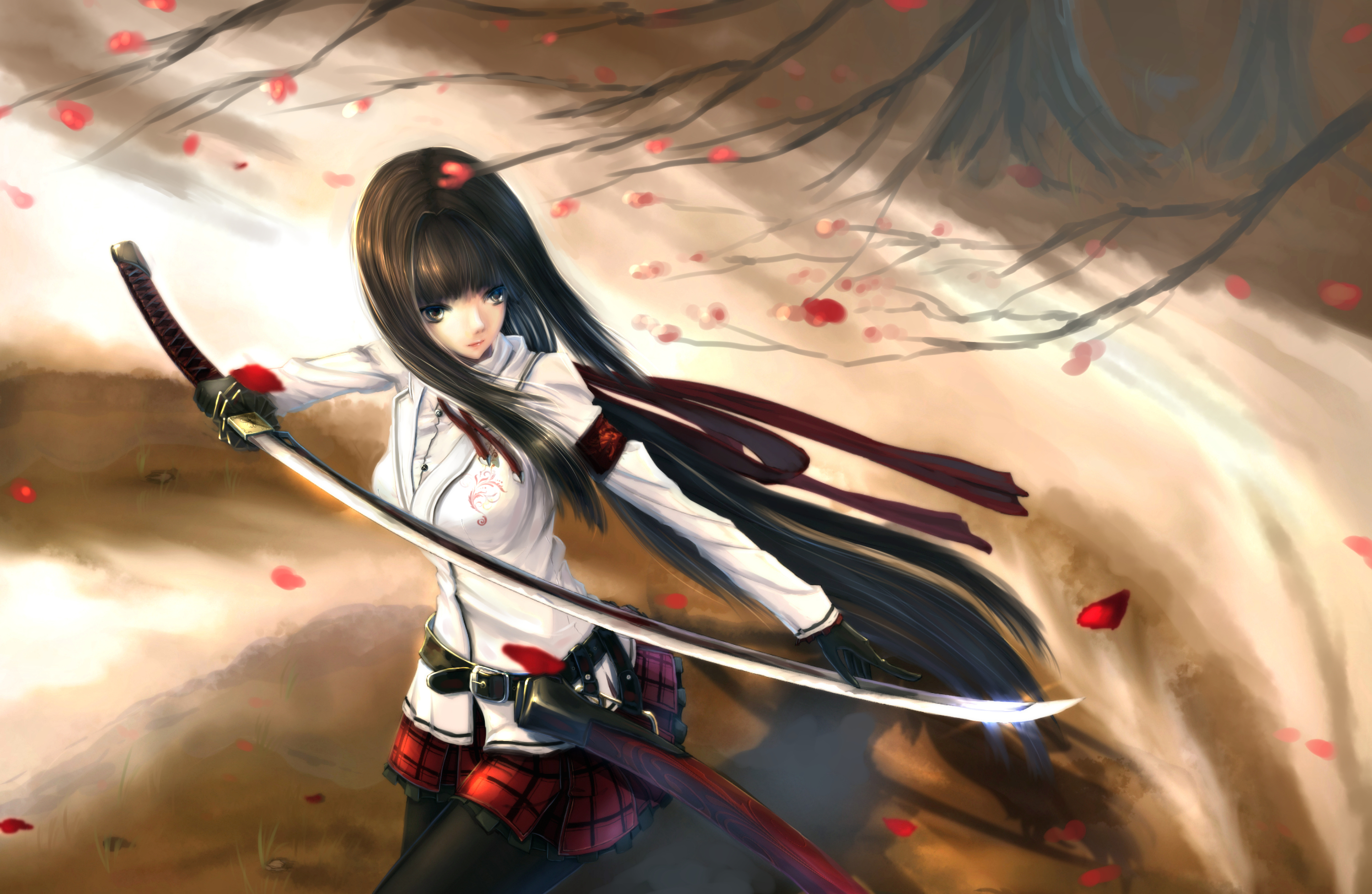 anime sword wallpaper,cg artwork,anime,black hair,cartoon,long hair