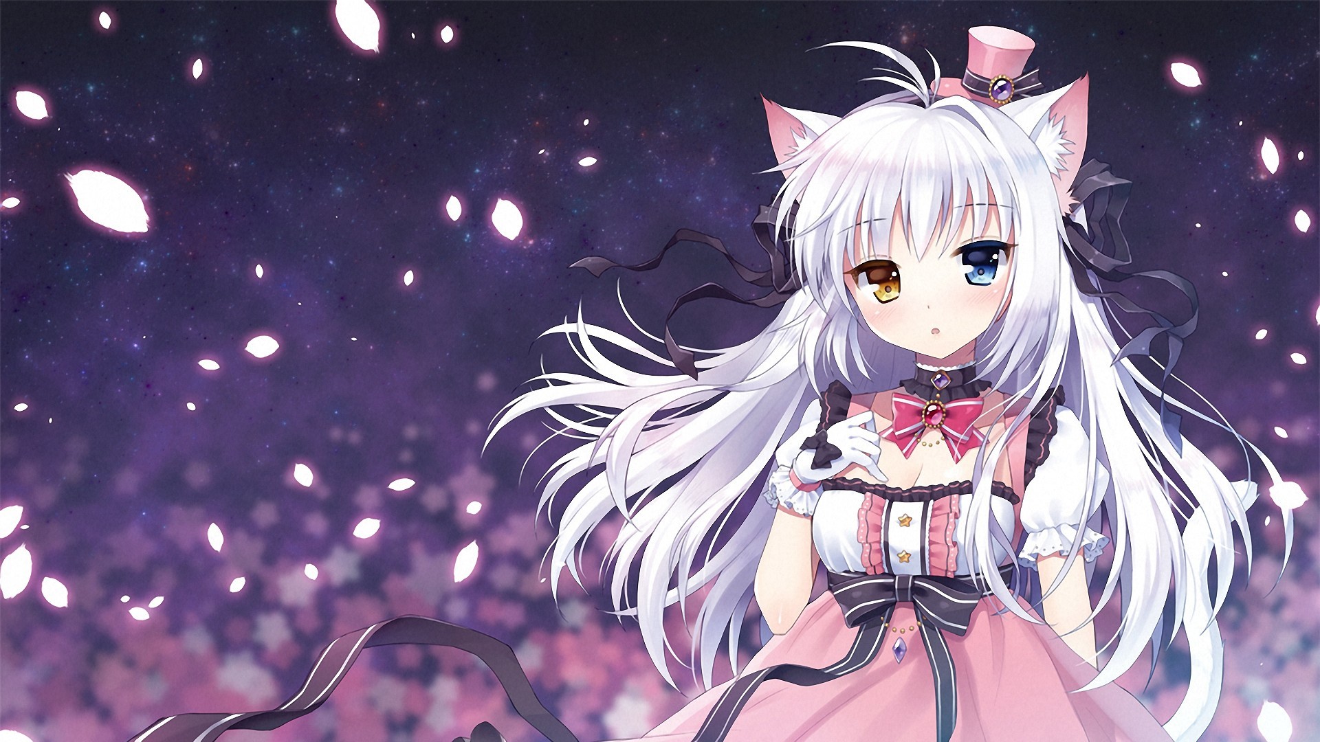 anime cat wallpaper,anime,dibujos animados,cg artwork,cielo,cabello negro