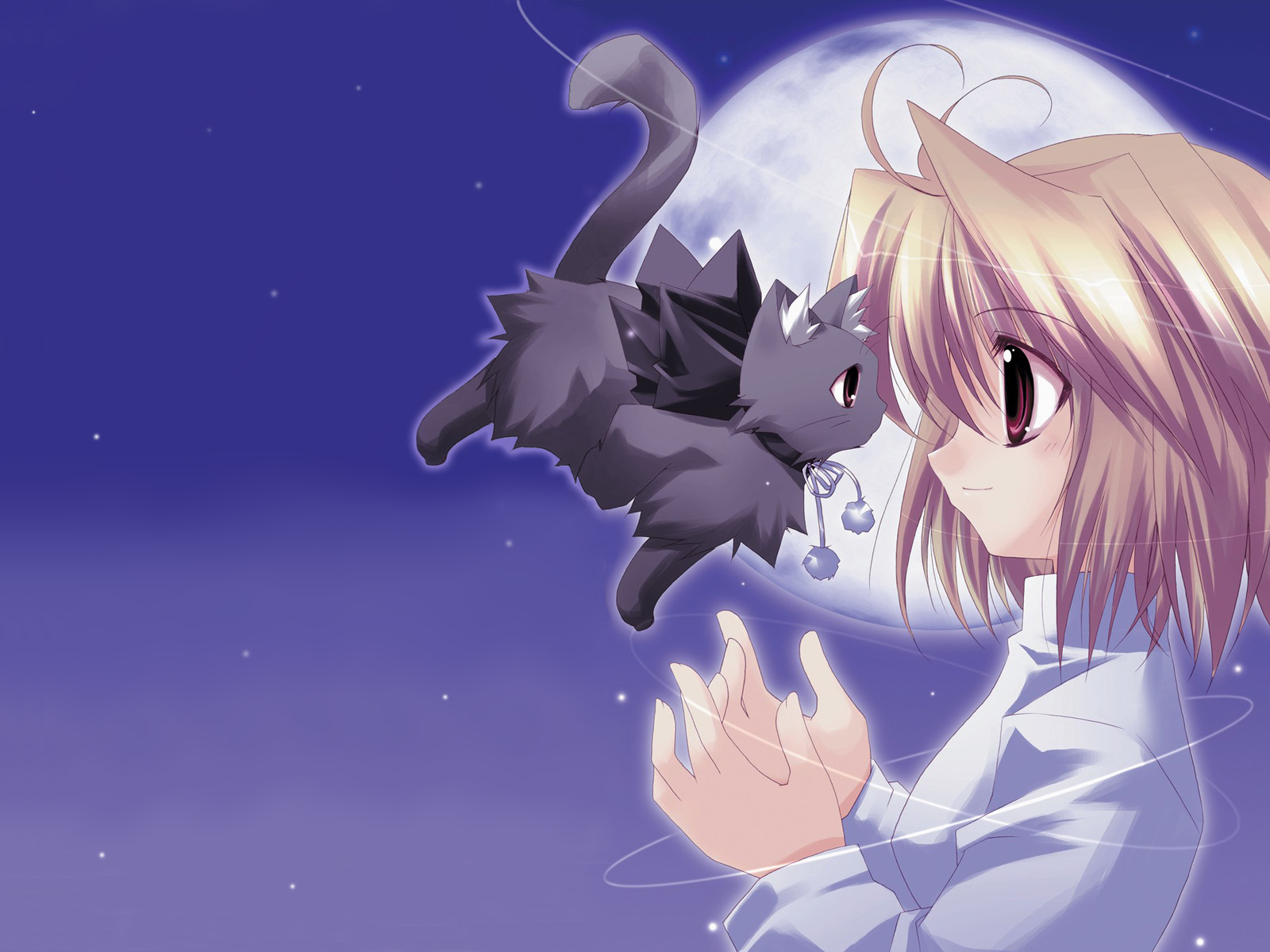 carta da parati gatto anime,cartone animato,cielo,anime,cg artwork,personaggio fittizio