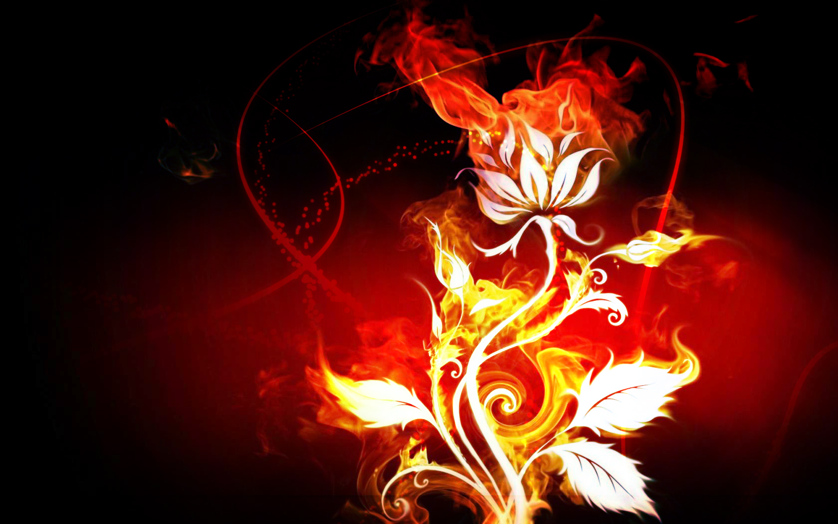 3d red rose live wallpaper,heat,flame,fire,light,orange