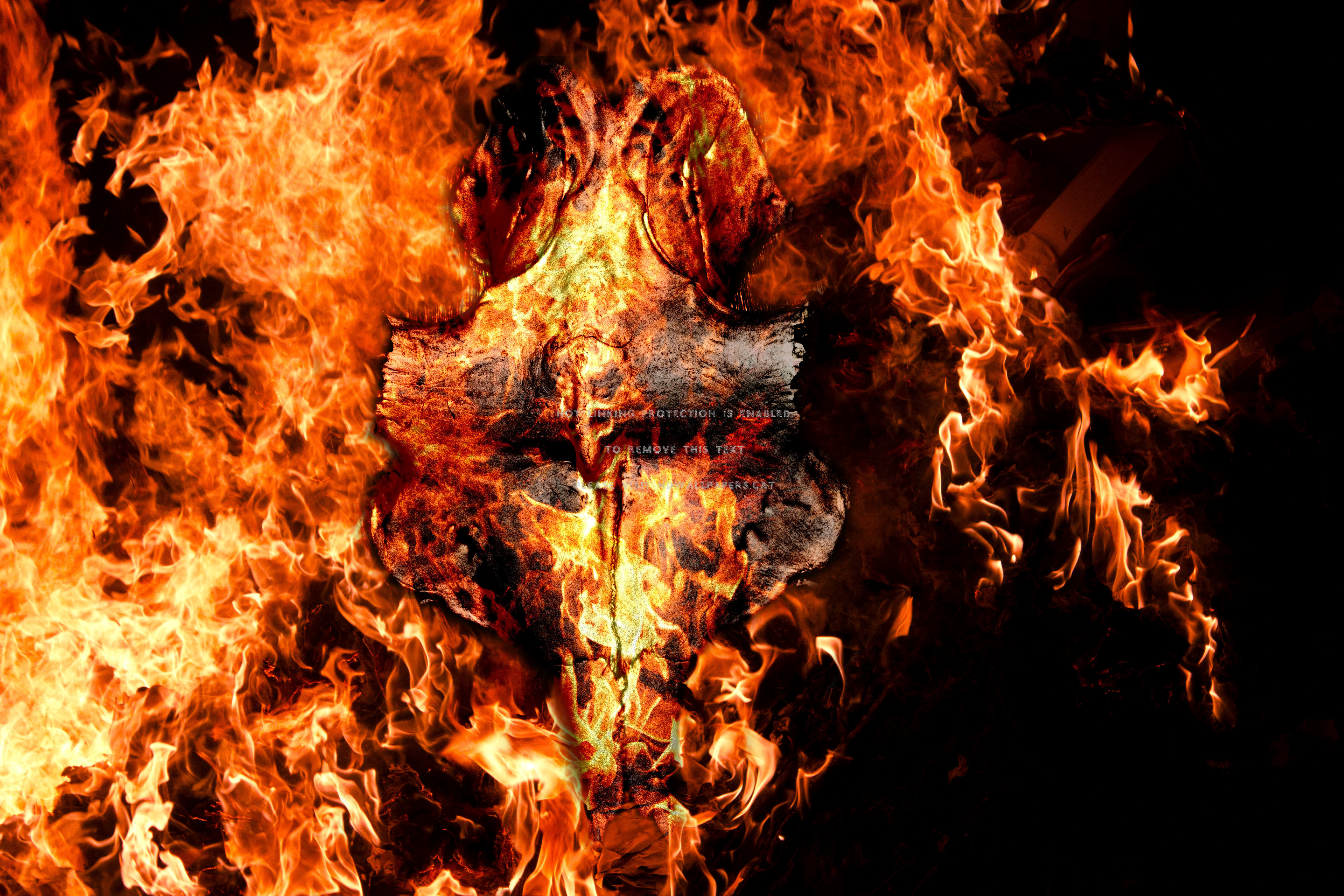 燃える頭蓋骨の壁紙,火炎,火,熱,たき火,出来事