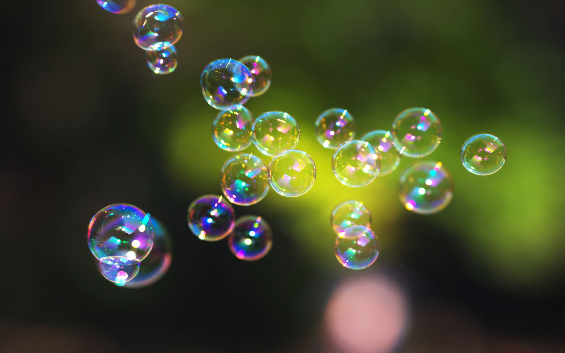 fondo de pantalla de buble,agua,verde,ligero,fotografía macro,de cerca