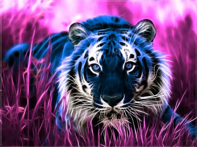 papier peint tigre bleu,tigre du bengale,félidés,faune,tigre,gros chats