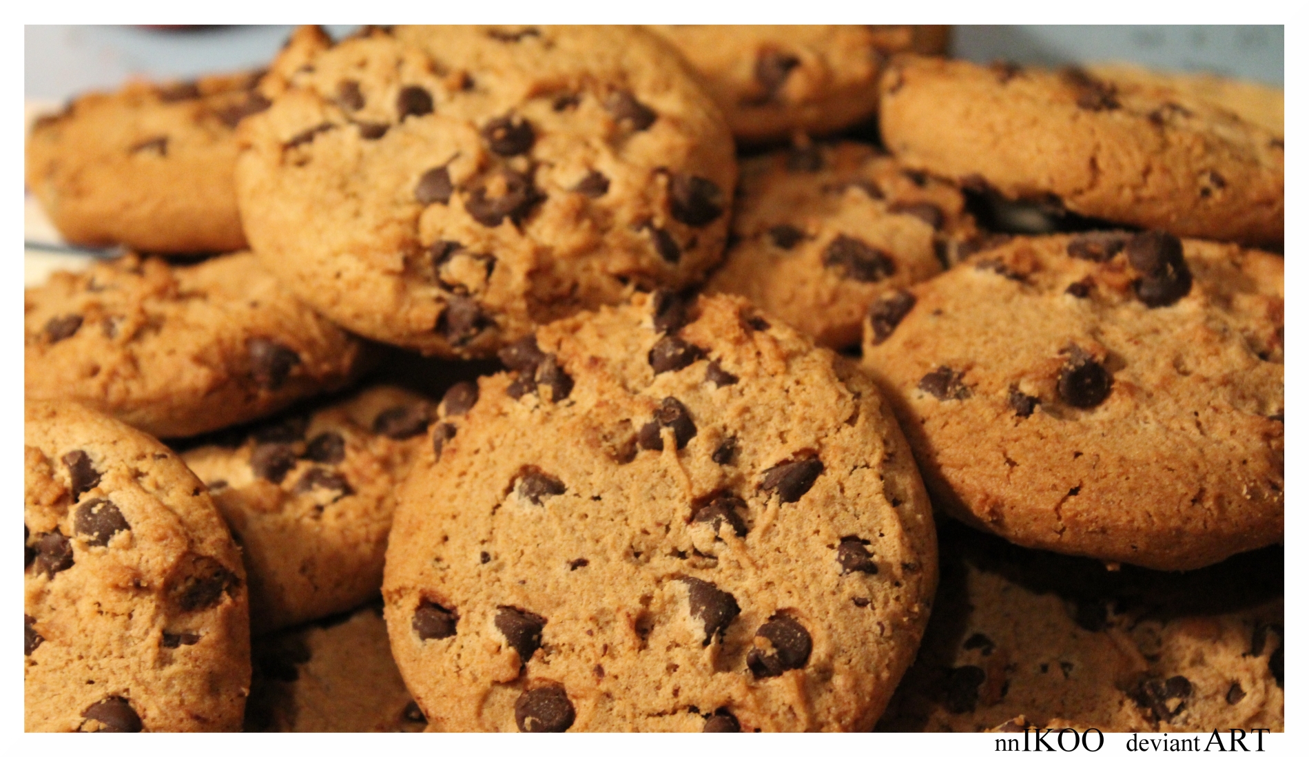 galletas de papel tapiz,comida,galletas y galletas,galleta con chispas de chocolate,bocadillo,plato