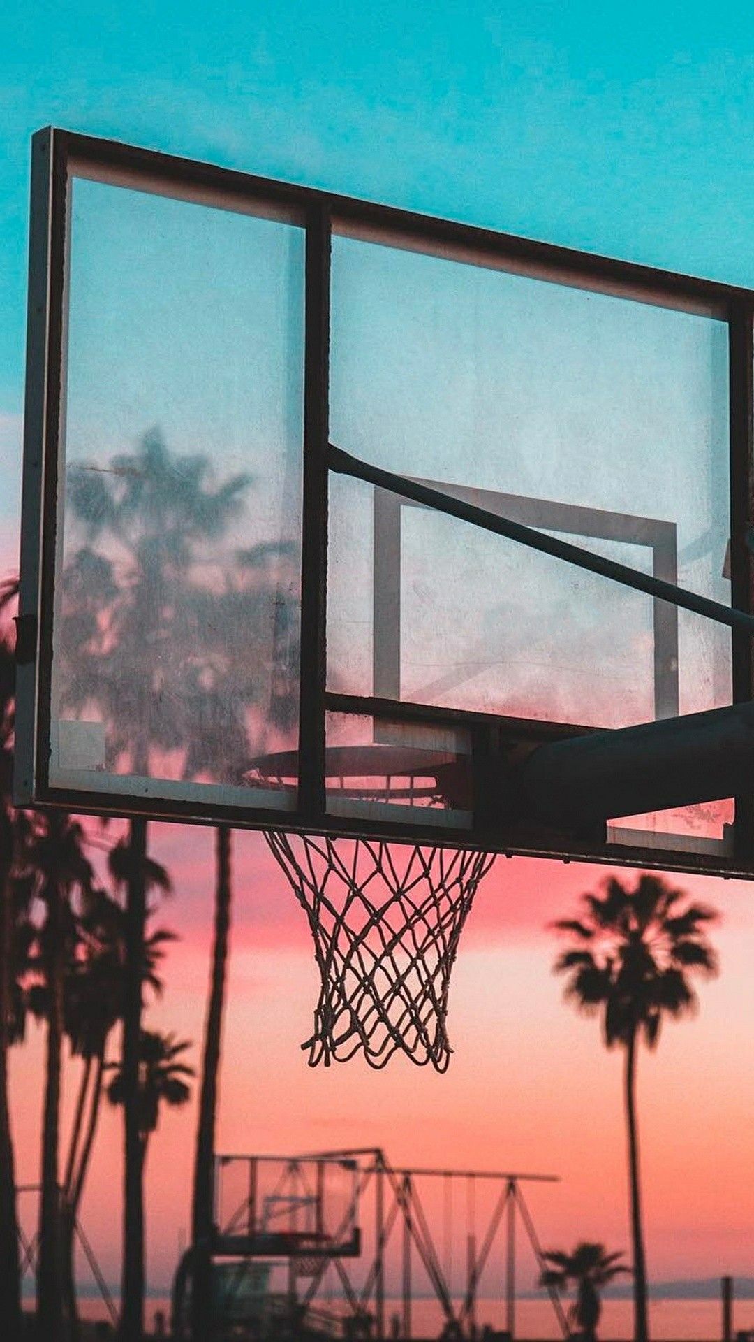 carta da parati del cerchio di pallacanestro,canestro,cielo,pallacanestro,finestra,albero