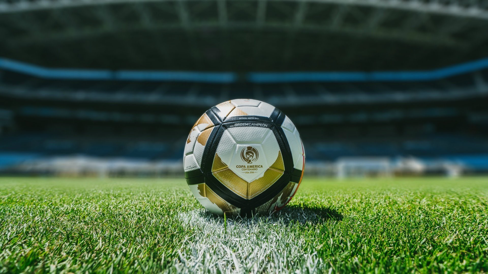 wallpaper futbol soccer,soccer ball,football,ball,grass,soccer