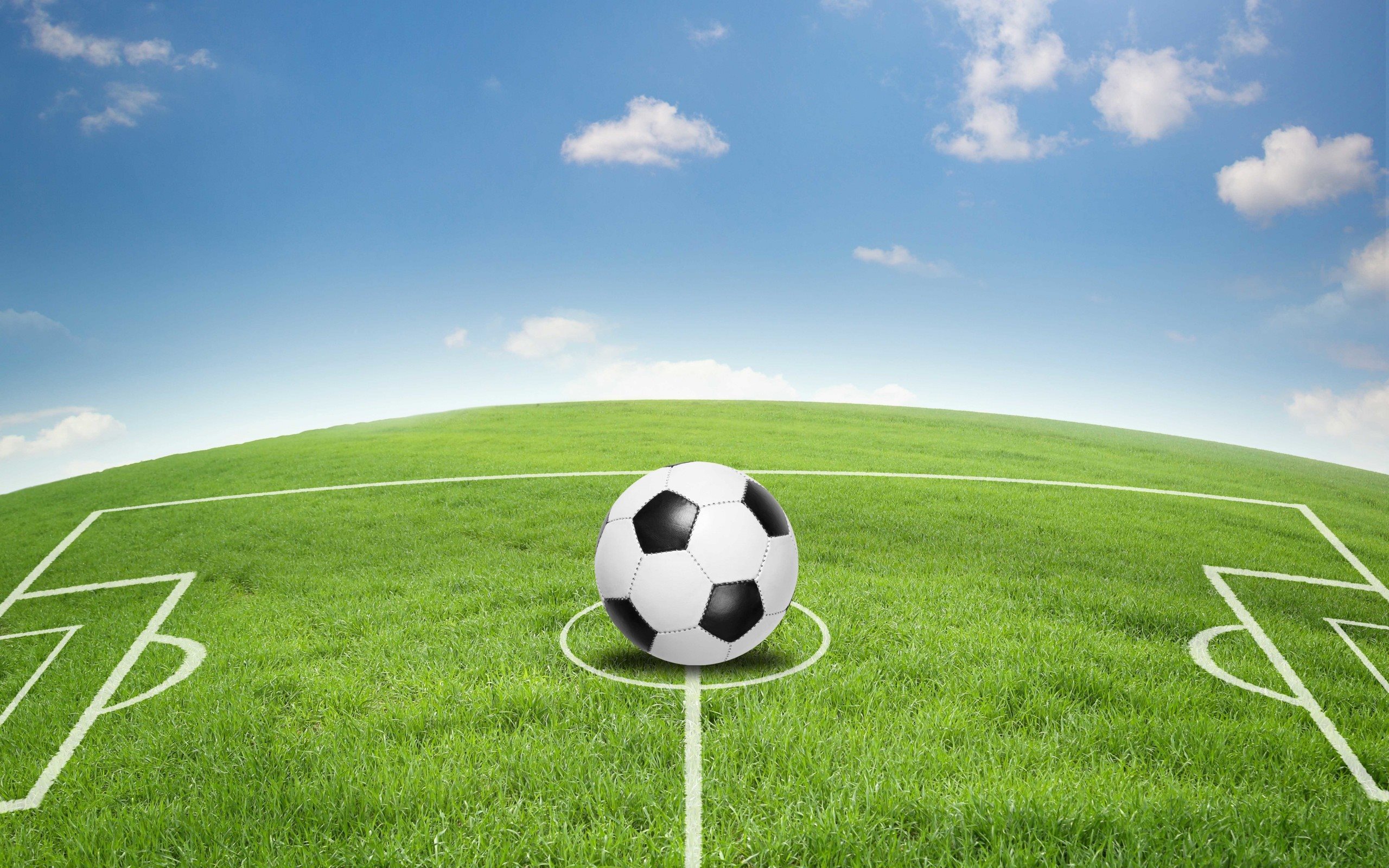 wallpaper futbol soccer,football,soccer ball,grass,ball,sport venue