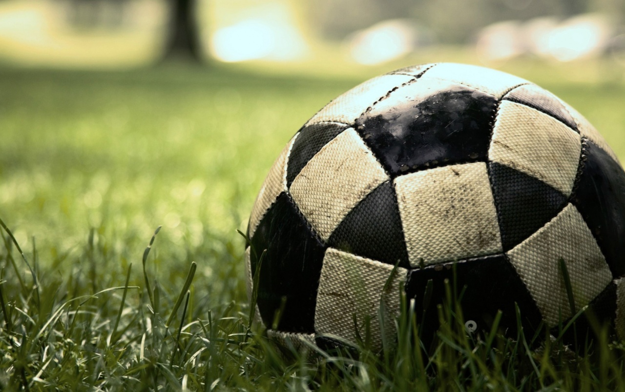 fondo de pantalla futbol soccer,balón de fútbol,fútbol americano,césped,fútbol,familia de la hierba