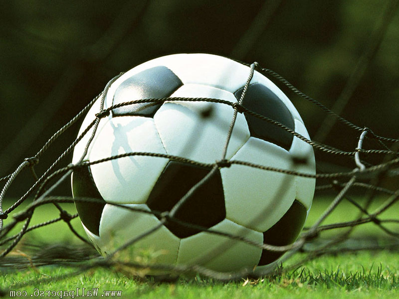 football wallpaper hd download,soccer ball,football,ball,grass,soccer