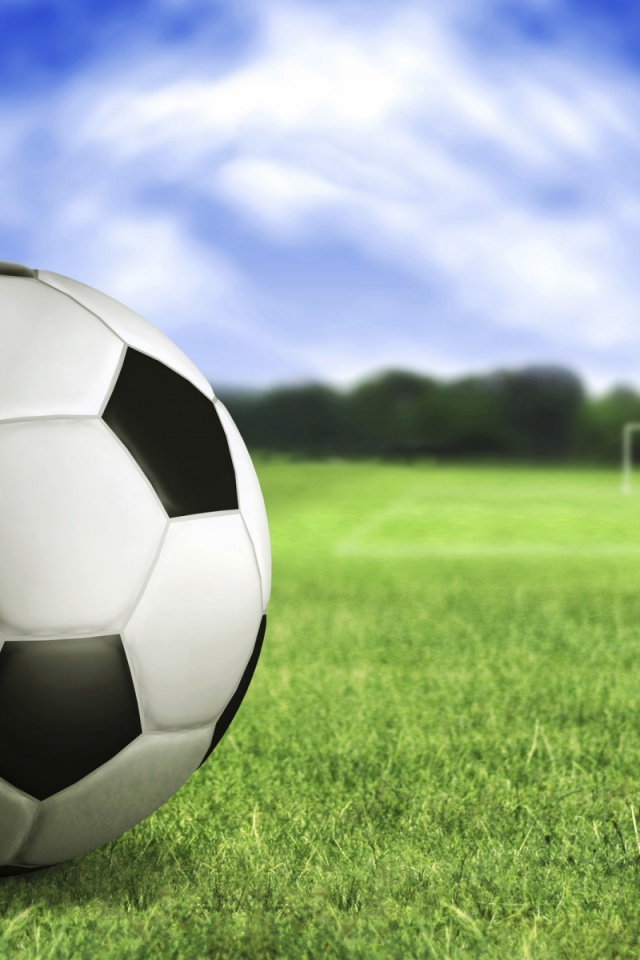 wallpaper fussball,soccer ball,football,ball,grass,soccer