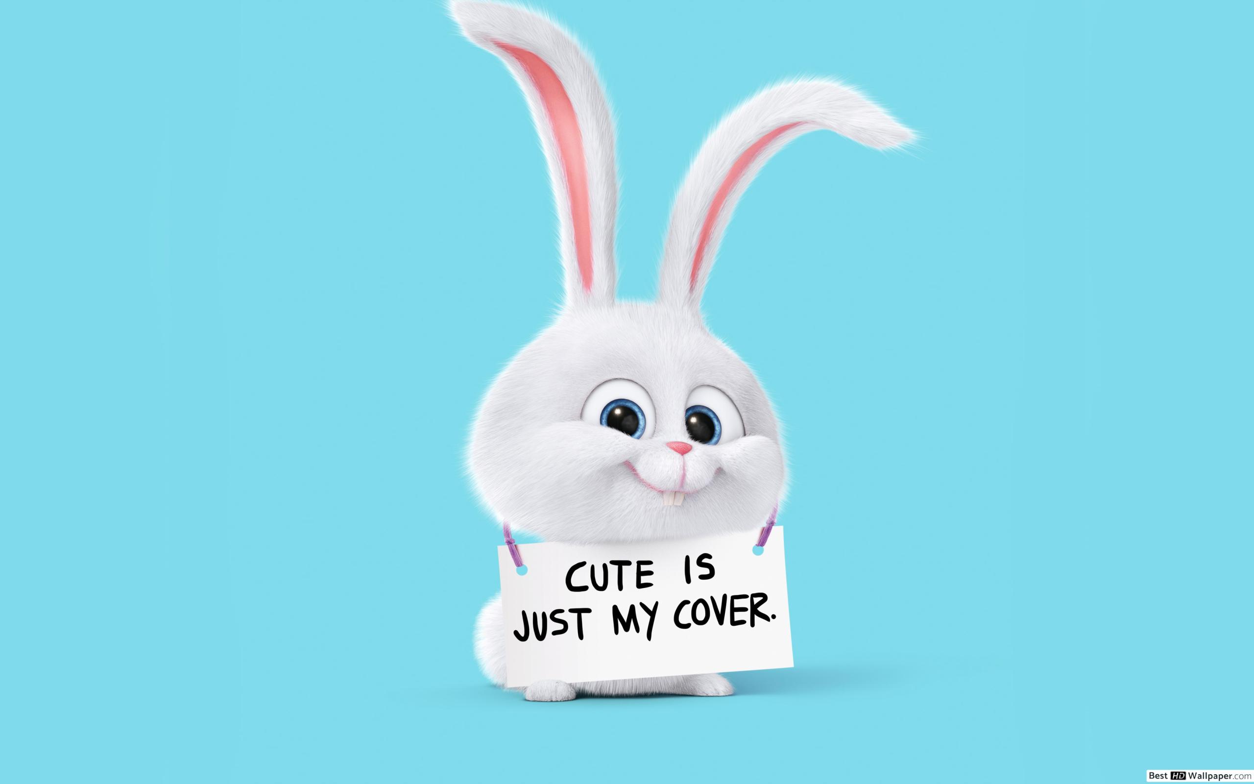 secret-life-of-pets-bunny-meme-wallpaperuse
