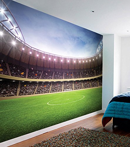 football mural wallpaper,sport venue,stadium,architecture,soccer specific stadium,arena