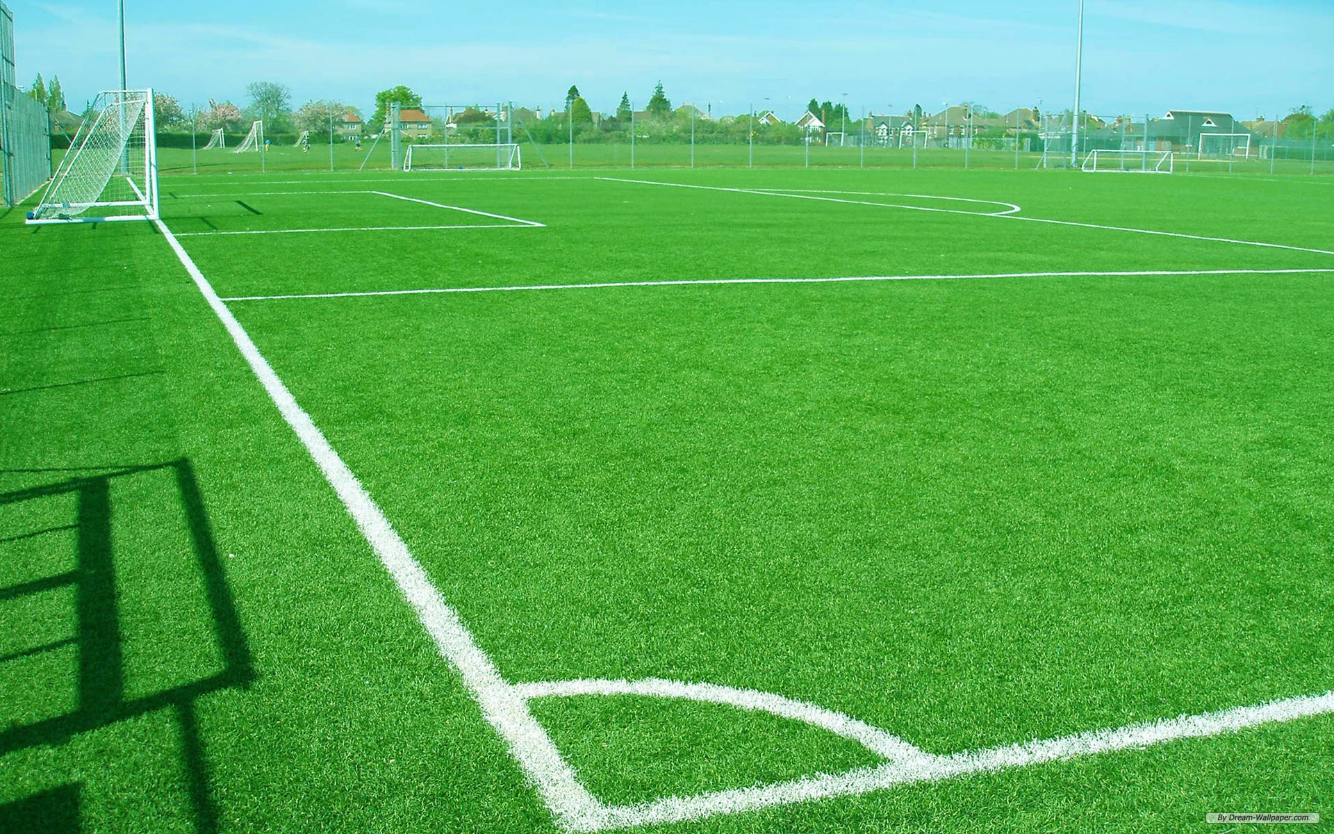 fond d'écran de terrain de football,herbe,gazon artificiel,sol,pelouse,famille d'herbe