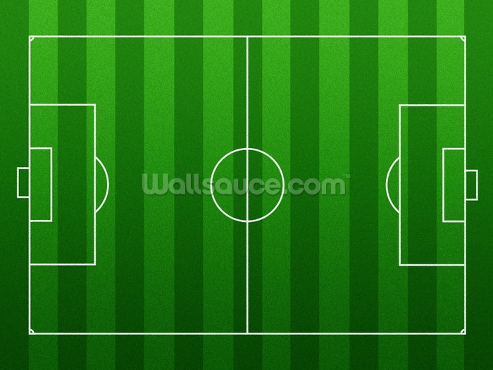 football pitch wallpaper,green,football,sport venue,line,grass