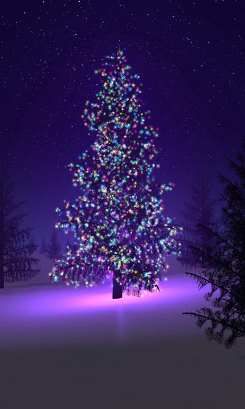 live home screen wallpaper,christmas tree,purple,tree,christmas decoration,violet