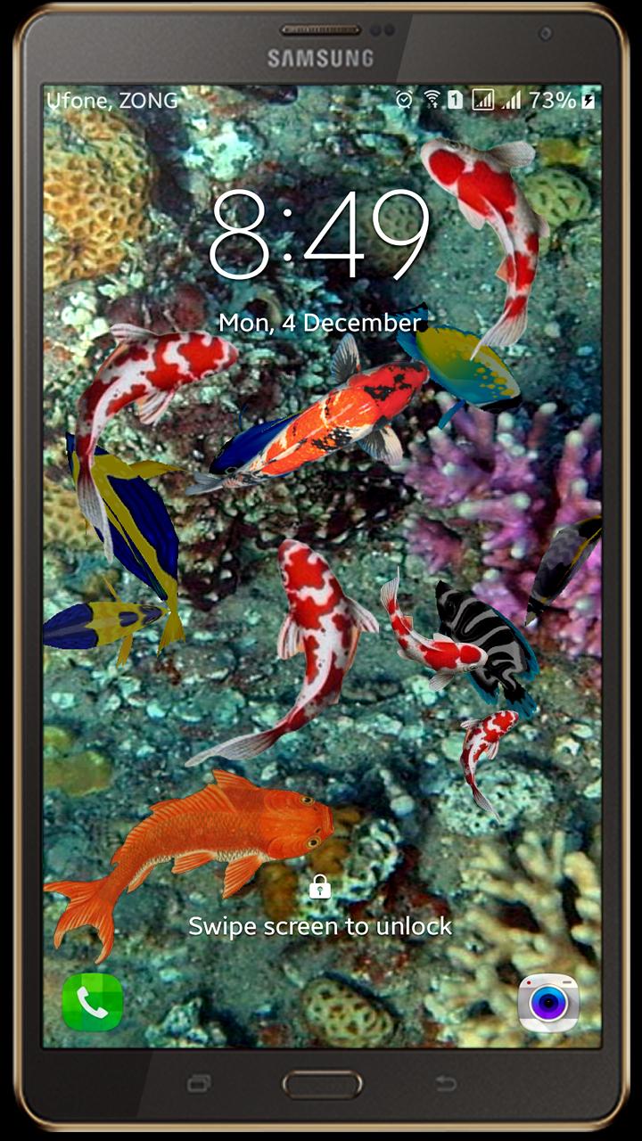 라이브 홈 화면 벽지,해양 생물학,암초,물고기,잉어,산호초 물고기