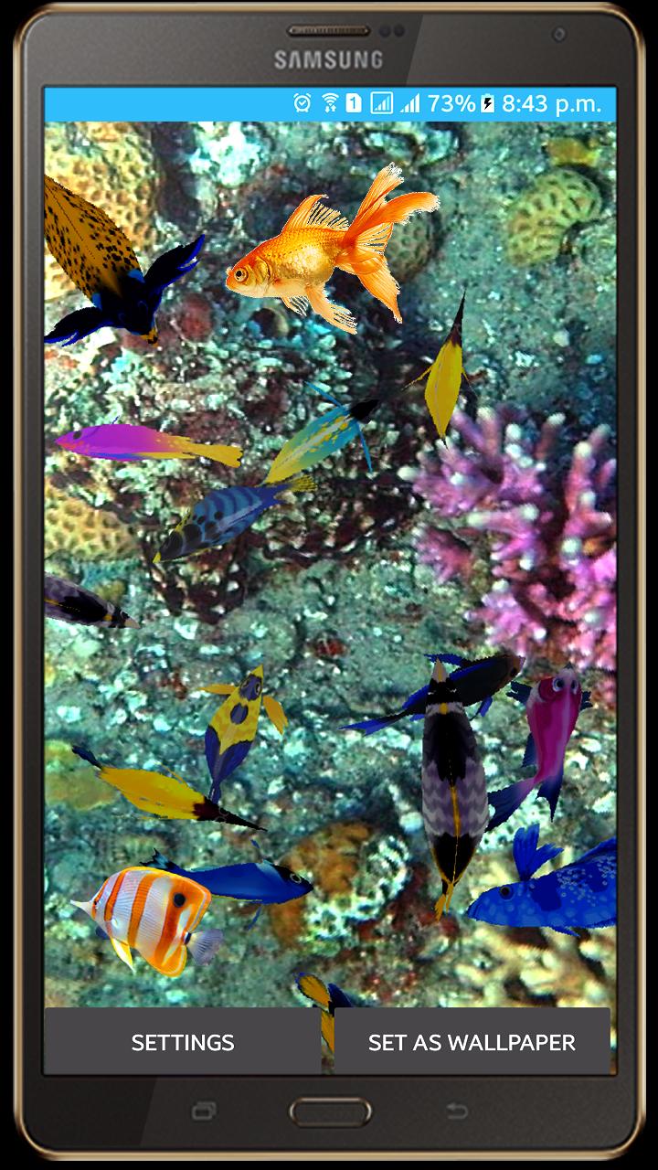 live wallpaper della schermata iniziale,pesci di barriera corallina,biologia marina,barriera corallina,pesce,pesce