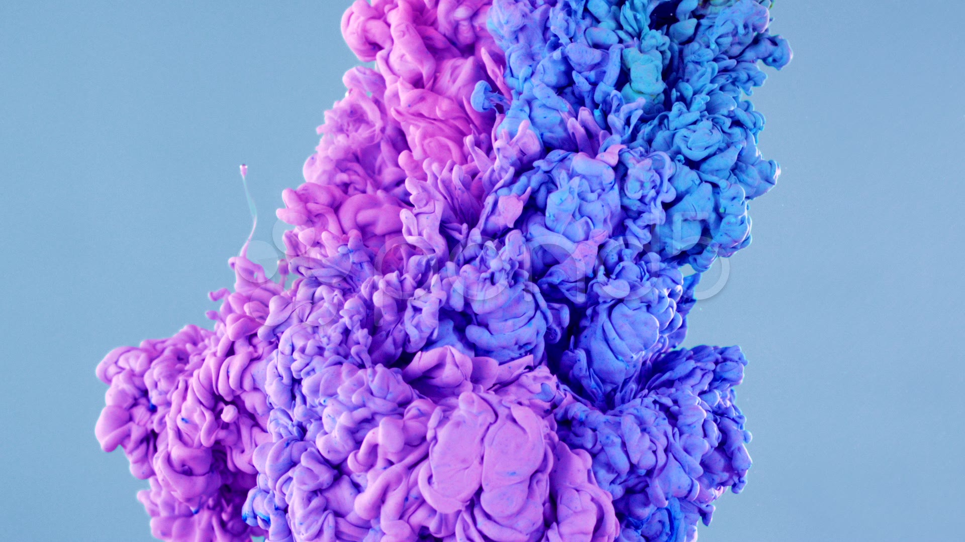 tinta en agua fondo de pantalla hd,violeta,lavanda,púrpura,azul,lila