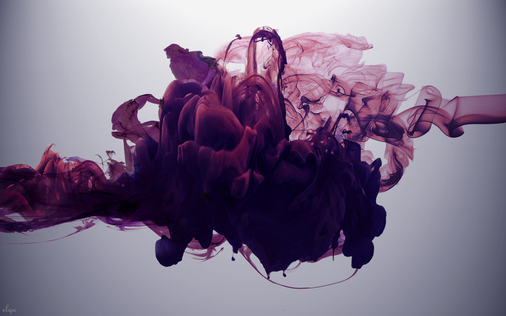 inchiostro in acqua wallpaper hd,viola,viola,rosa,fiore,fotografia di still life