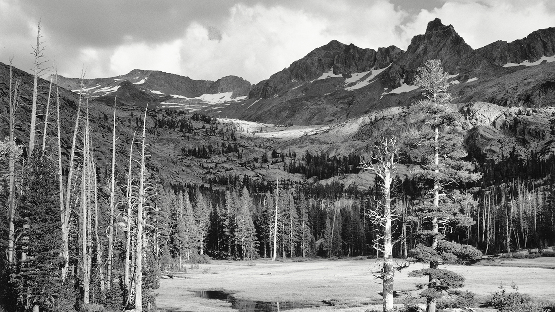fondo de pantalla de ansel adams,montaña,naturaleza,paisaje natural,árbol,en blanco y negro