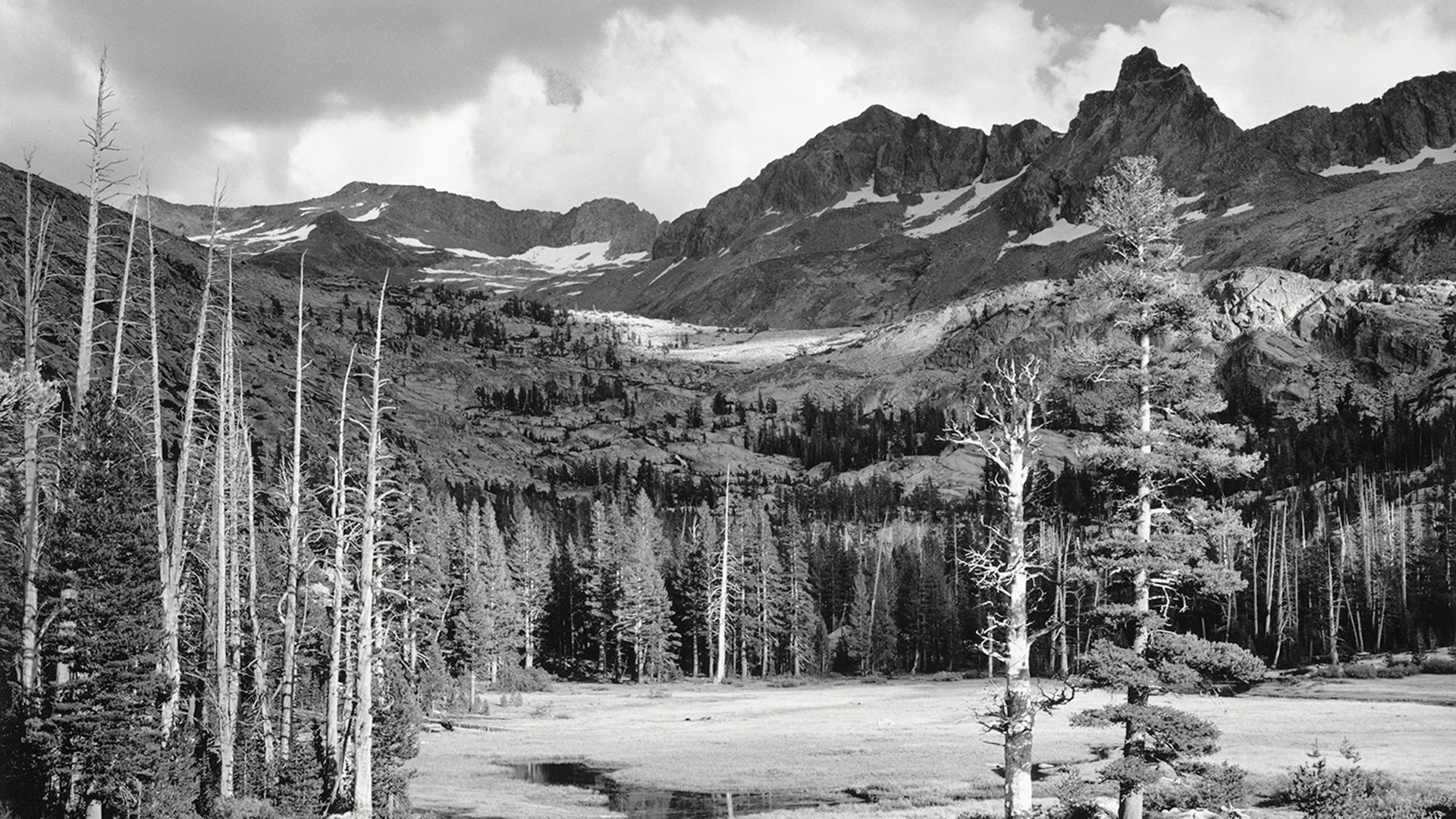 sfondo di ansel adams,montagna,natura,paesaggio naturale,albero,bianco e nero