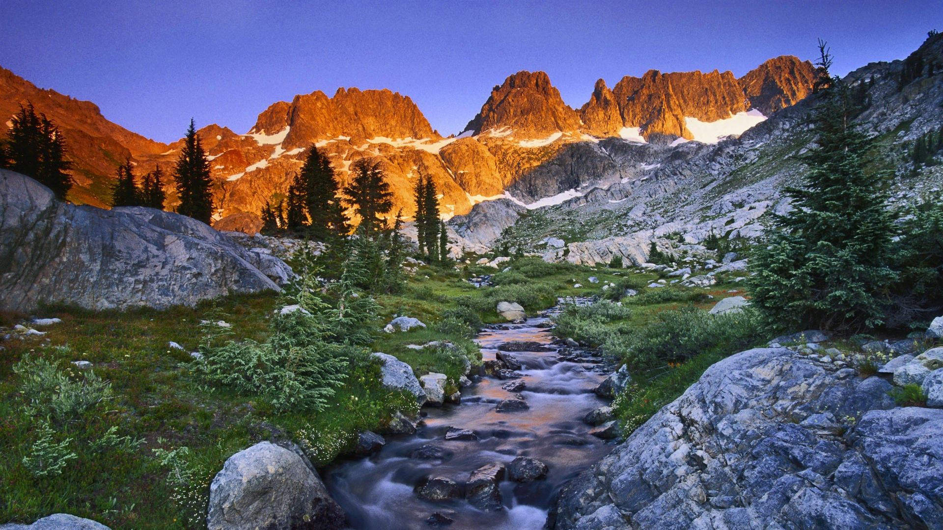 sfondo di ansel adams,paesaggio naturale,montagna,natura,larice larix lyalliisubalpine,catena montuosa