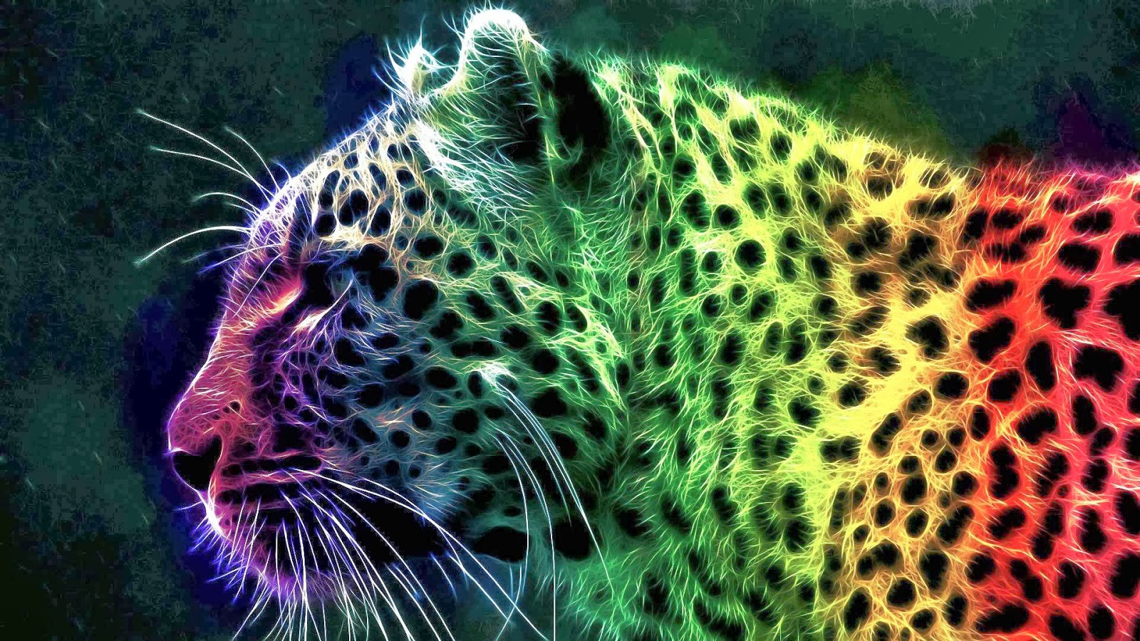 big print wallpaper,leopard,felidae,jaguar,wildlife,terrestrial animal