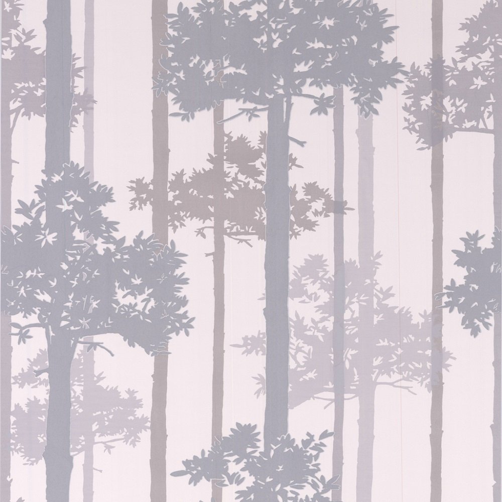 papier peint graham et arbre brun,arbre,forêt,plante ligneuse,plante,ligne
