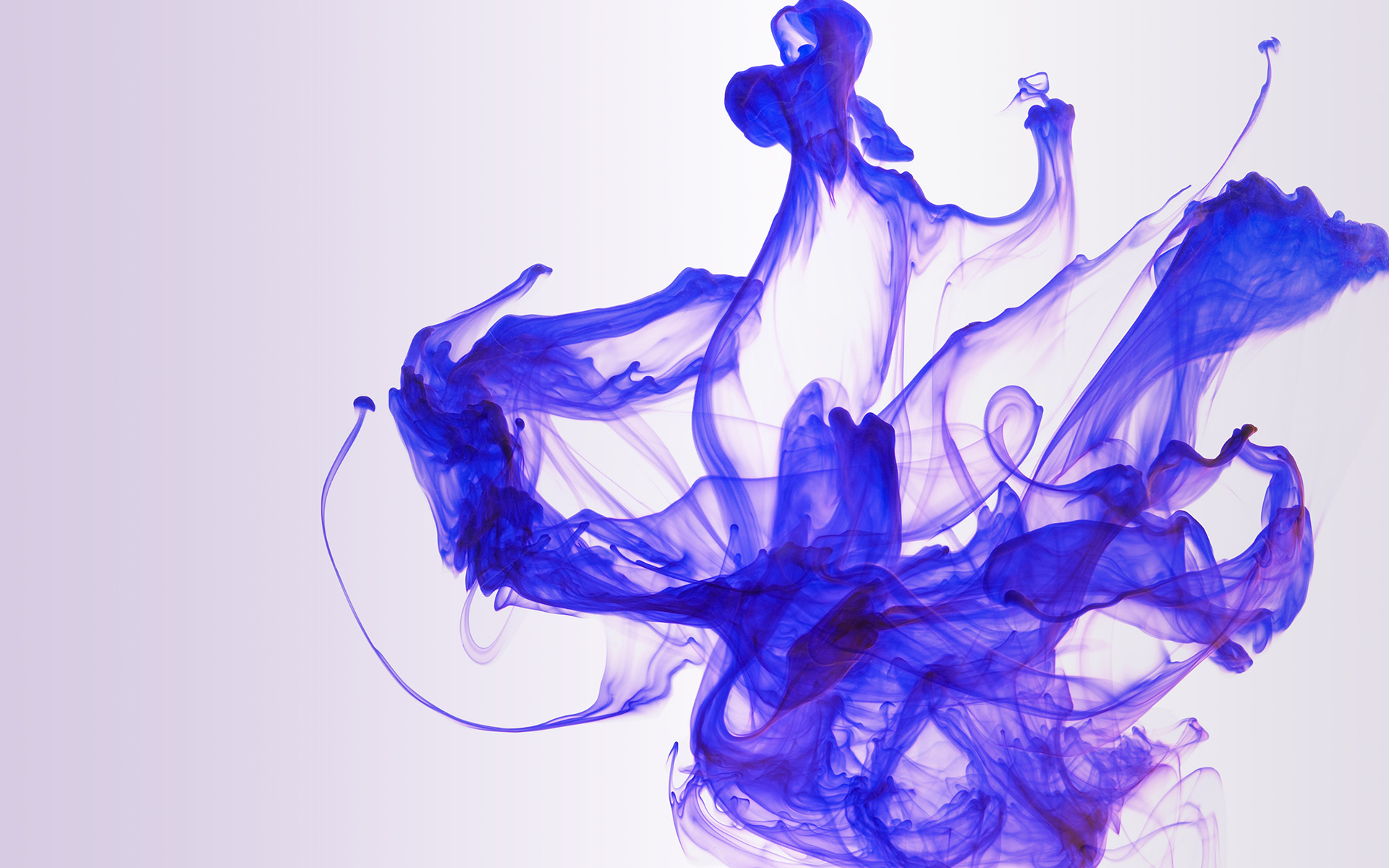 fondo de pantalla de tinta en agua,azul,azul cobalto,púrpura,dibujo,azul eléctrico