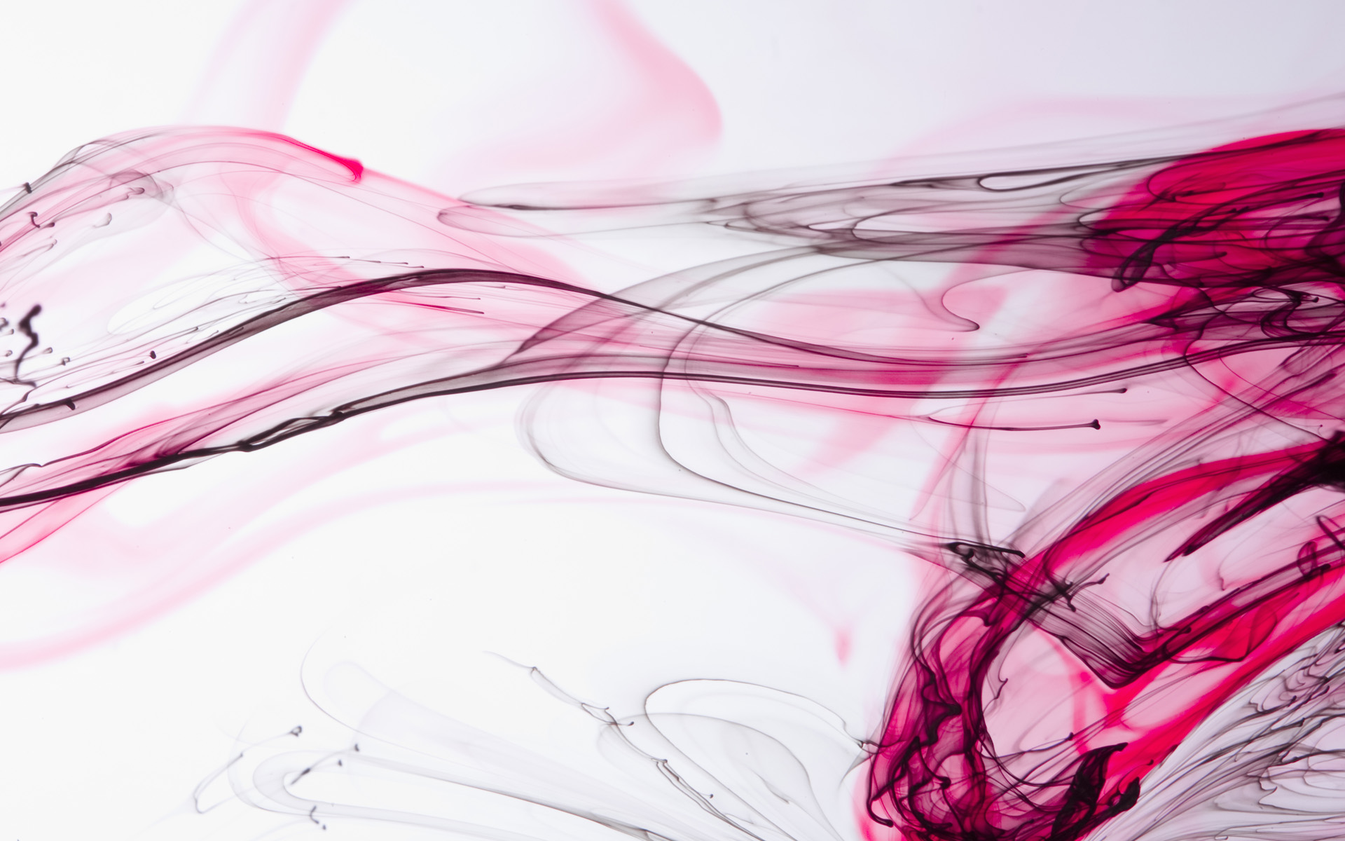 papier peint encre dans l'eau,rose,rouge,ligne,oeuvre de cg,conception graphique